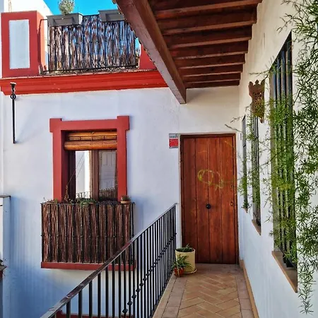 Loft & Private Rooftop With Bbq Seville Exterior photo