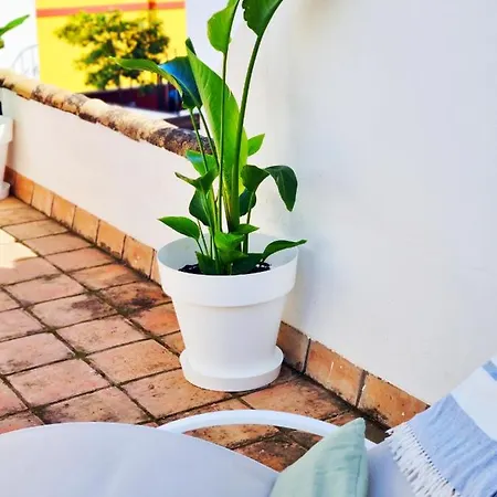 Loft & Private Rooftop With Bbq Seville Exterior photo