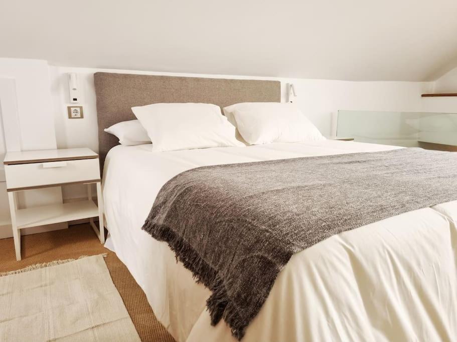 Loft & Private Rooftop With Bbq Seville